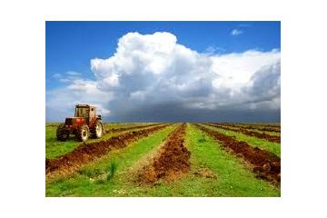 Бершадською  місцевою  прокуратурою заявлено  позови  в  земельній  сфері  на  майже  чверть  мільйона гривень Бершадською  місцевою  прокуратурою заявлено  позови  в  земельній  сфері  на  майже  чверть  мільйона гривень