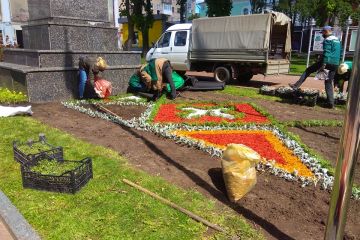 У Дніпрі мешканці багатоповерхівки власноруч створили затишний двір У Дніпрі мешканці багатоповерхівки власноруч створили затишний двір