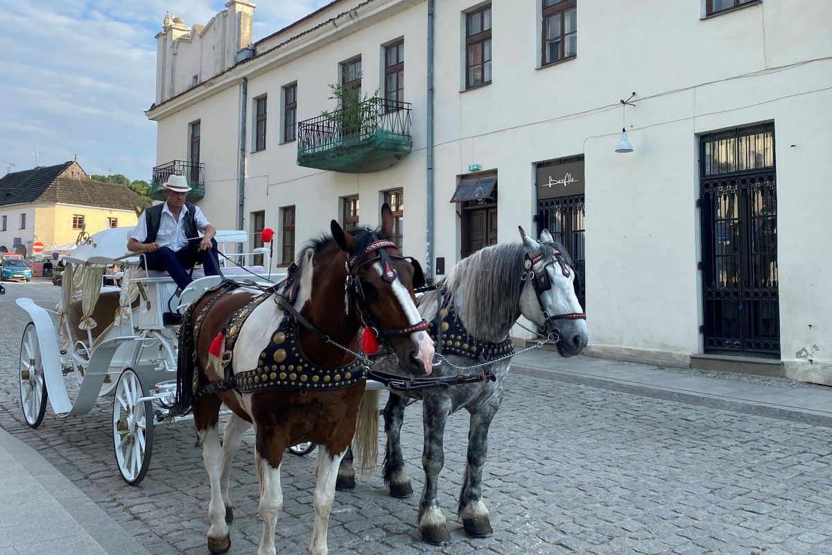  Poland: We are almost all Ukrainians here today!..