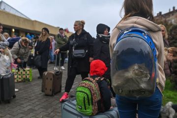 Сьогодні майже 2 мільйони українців залишається в Польщі - кинуті й забуті своєю державою Сьогодні майже 2 мільйони українців залишається в Польщі - кинуті й забуті своєю державою