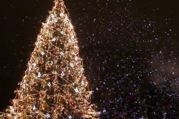 Новий Рік без ялинки Новий Рік без ялинки