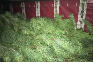 Чернігівчани на повну готуються до нового року Чернігівчани на повну готуються до нового року