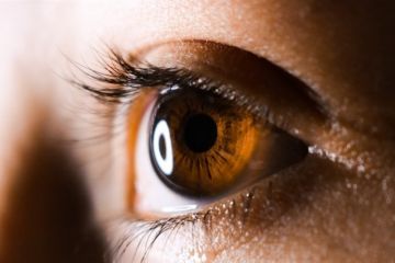 Прихисток від насильства: абьюзер в сім’ї Прихисток від насильства: абьюзер в сім’ї