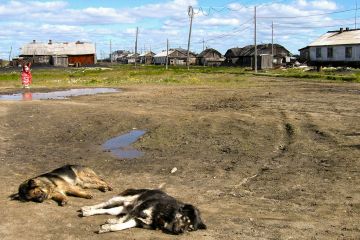 Полювання на четвероногих Полювання на четвероногих