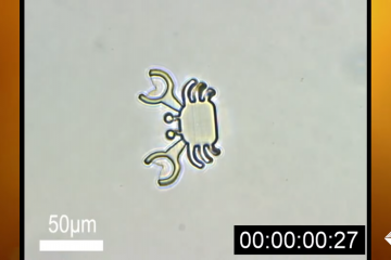 Революції нанотехнологій: як роботи допоможуть вилікувати рак. Революції нанотехнологій: як роботи допоможуть вилікувати рак.