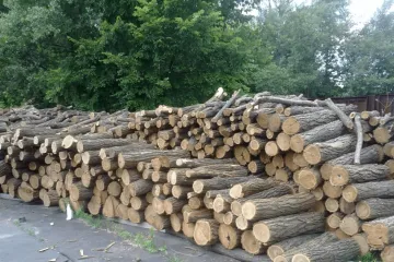 ​З України заборонили експортувати дрова, оскільки це основний ресурс для опалення, особливо на прифронтових територіях