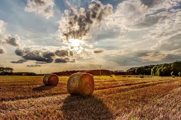 Прокуратура вимагає від фермерського господарства повернути земельну ділянку вартістю понад 8 млн грн Прокуратура вимагає від фермерського господарства повернути земельну ділянку вартістю понад 8 млн грн