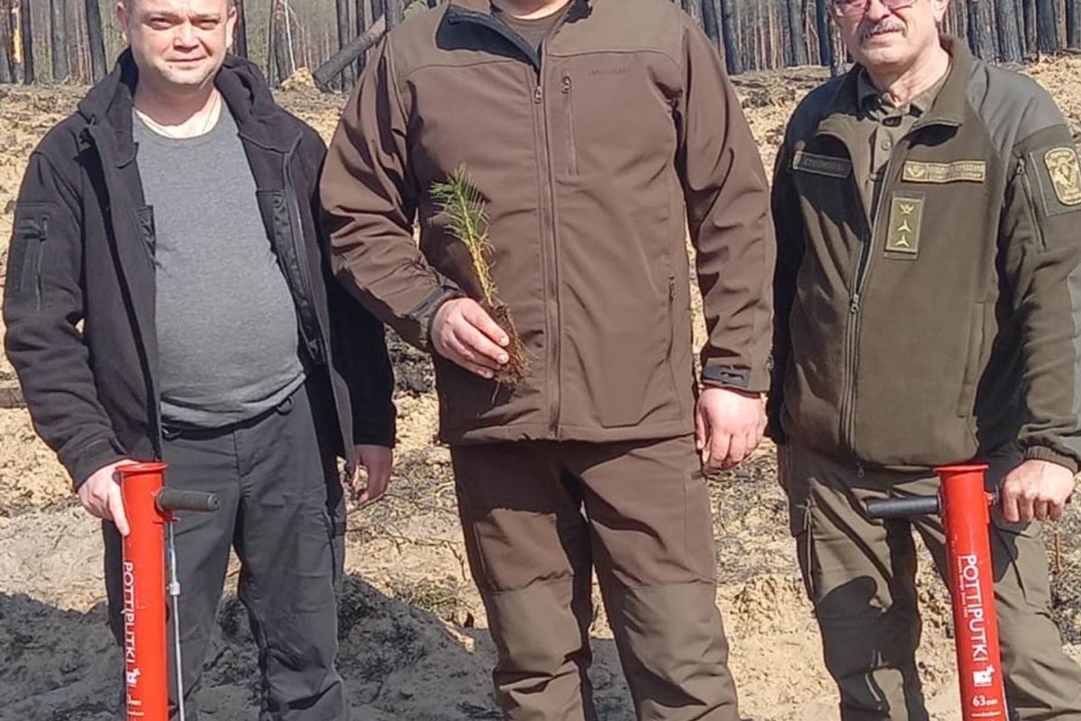 Висадили дев’ять тисяч саджанців - прокуратура долучилась до відновлення лісових масивів, знищених окупантами у Лиманському районі (ФОТО) Висадили дев’ять тисяч саджанців - прокуратура долучилась до відновлення лісових масивів, знищених окупантами у Лиманському районі (ФОТО)