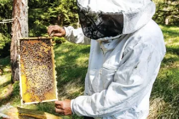 ​Бджільництво – не місце для політичних баталій!