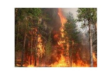 У Лимані обстріли забрали життя мирного мешканця, ще двоє містян зазнали поранень У Лимані обстріли забрали життя мирного мешканця, ще двоє містян зазнали поранень