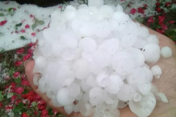 «Уничтожил будущий урожай»: Закарпатье засыпало градом  «Уничтожил будущий урожай»: Закарпатье засыпало градом