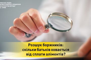 Розшук боржників:  скільки батьків ховається  від сплати аліментів? Розшук боржників:  скільки батьків ховається  від сплати аліментів?