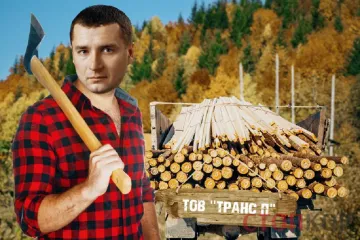 ​Нагріли бюджет на 160 млн: голова Держлісагентства Болоховець покриває розпродаж карпатського лісу?