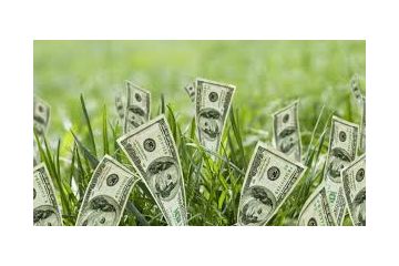 Прокуратурою Вінницької області забезпечено повернення державі земель лісового фонду площею 239 га вартістю 298 млн гривень Прокуратурою Вінницької області забезпечено повернення державі земель лісового фонду площею 239 га вартістю 298 млн гривень