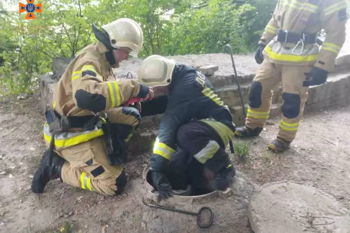 У Білій Церкві надзвичайники врятували кошеня, яке впало до каналізаційного люку