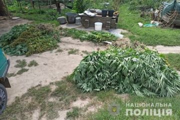 Боротьба з поширенням наркотичних засобів. Поліція знищила на 15 мільйонів гривень наркотиків Боротьба з поширенням наркотичних засобів. Поліція знищила на 15 мільйонів гривень наркотиків