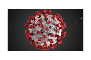 Повторне зараження коронавірусом Повторне зараження коронавірусом