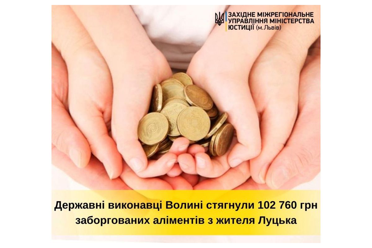 Державні виконавці Волині стягнули 102 760 грн  аліментних платежів з жителя Луцька