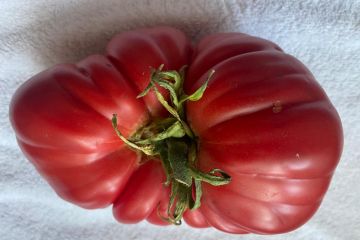 Російський Крим: міфічні «економічна суверенність», «конкурентоспроможність»  Російський Крим: міфічні «економічна суверенність», «конкурентоспроможність»