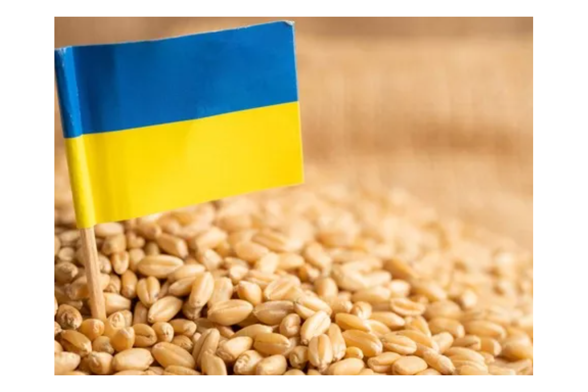 російські загарбники вкрали 3,7 млн тонн українського зерна на тимчасово окупованих територіях російські загарбники вкрали 3,7 млн тонн українського зерна на тимчасово окупованих територіях