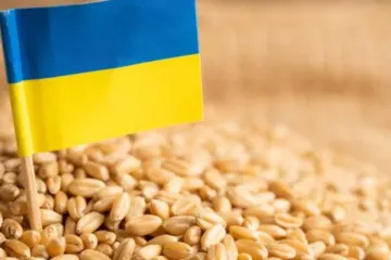 ​російські загарбники вкрали 3,7 млн тонн українського зерна на тимчасово окупованих територіях