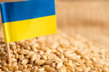 російські загарбники вкрали 3,7 млн тонн українського зерна на тимчасово окупованих територіях російські загарбники вкрали 3,7 млн тонн українського зерна на тимчасово окупованих територіях