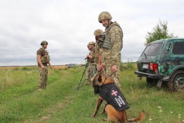 За добу українські рятувальники знешкодили 1 тисячу 227 вибухонебезпечних предметів За добу українські рятувальники знешкодили 1 тисячу 227 вибухонебезпечних предметів