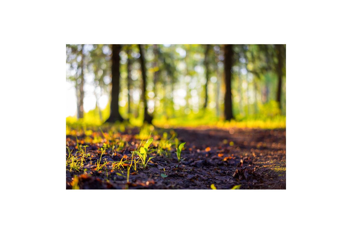 Через великий викид в повітря формальдегіду в Запоріжжі мобільна еколабораторія знову працює Через великий викид в повітря формальдегіду в Запоріжжі мобільна еколабораторія знову працює