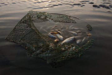 «Ні» рибному браконьєрству «Ні» рибному браконьєрству