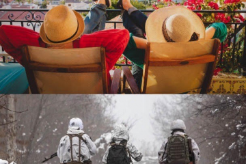 Тилові щури: Паралельна реальність рівненських «бізнесменів» Козлишиних Тилові щури: Паралельна реальність рівненських «бізнесменів» Козлишиних