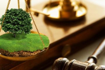 Прокуратура вимагає повернути навчальному закладу на Херсонщині землю площею понад 250 га Прокуратура вимагає повернути навчальному закладу на Херсонщині землю площею понад 250 га