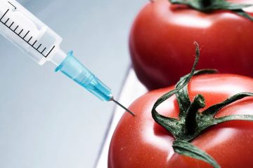 Україна - ГМО? Україна - ГМО?