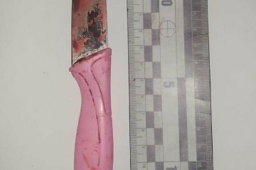 Вдарив ножем у шию – мешканця Бахмутського району судитимуть за обвинуваченням у вбивстві тестя Вдарив ножем у шию – мешканця Бахмутського району судитимуть за обвинуваченням у вбивстві тестя