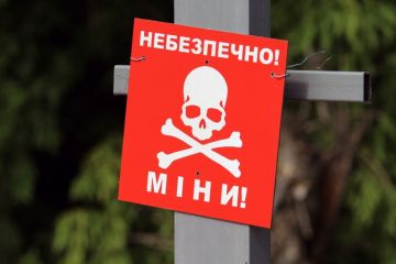 Globsec: Україна є найбільшою замінованою територією у світі Globsec: Україна є найбільшою замінованою територією у світі