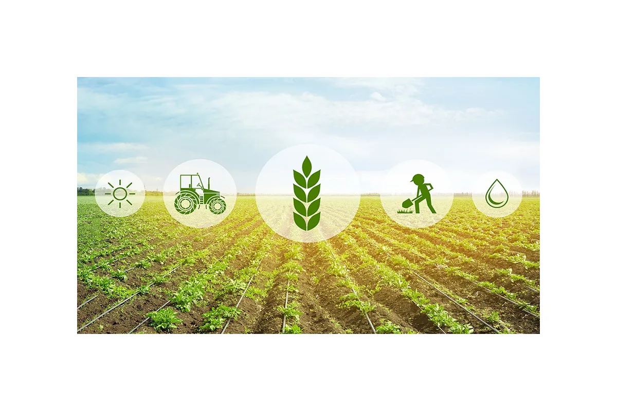 Комітет з питань аграрної та земельної політики: "Аграрії вже залучили 31,5 млрд грн кредитів для посівної"