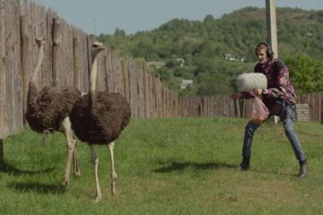 У Дніпрі просто неба пройде автокінофестиваль У Дніпрі просто неба пройде автокінофестиваль