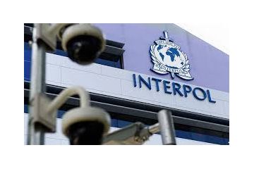 На Вінниччині затримано громадянина США за вбивство На Вінниччині затримано громадянина США за вбивство