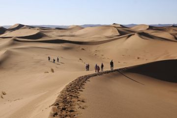 Відновлення дипломатії у Західній Сахарі  Відновлення дипломатії у Західній Сахарі