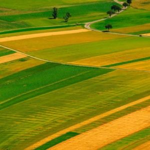 42 підприємці нелегально користувалися землею в Запоріжжі 42 підприємці нелегально користувалися землею в Запоріжжі
