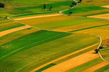 42 підприємці нелегально користувалися землею в Запоріжжі 42 підприємці нелегально користувалися землею в Запоріжжі