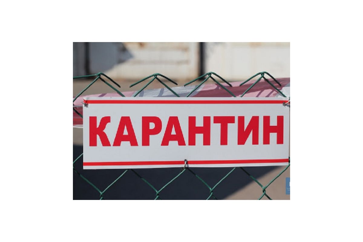В Запоріжжі попри заборону працює й надалі один з мережевих магазинів В Запоріжжі попри заборону працює й надалі один з мережевих магазинів