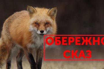 Сказ в Україні: кілька населених пунктів на карантині Сказ в Україні: кілька населених пунктів на карантині