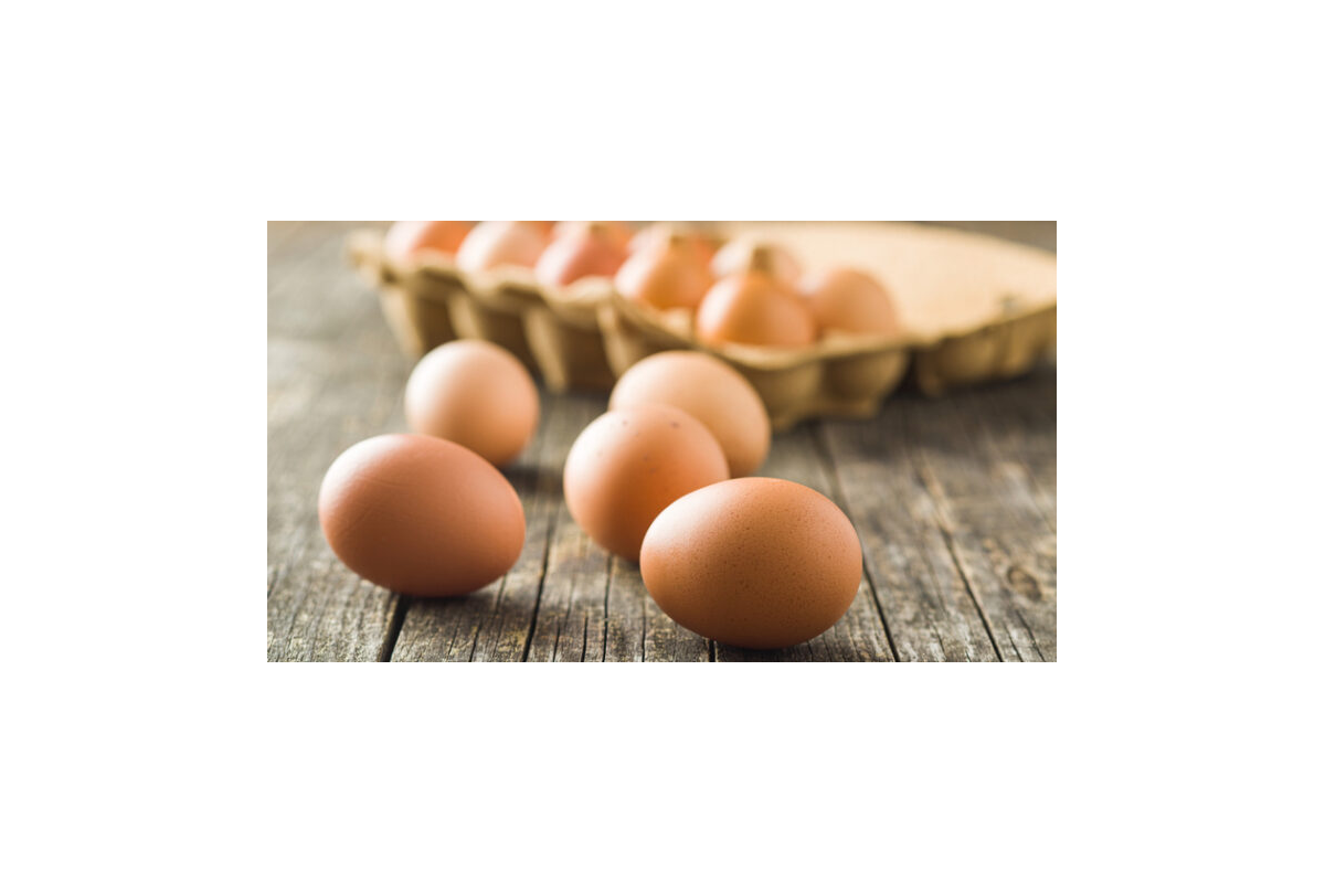 Яйця по 8 грн замість 17 — Міноборони змінило ціни на продукти для армії Яйця по 8 грн замість 17 — Міноборони змінило ціни на продукти для армії