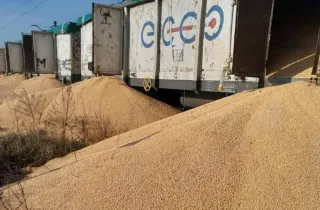 Польща буде змушена відшкодувати збитки за висипане на землю українське зерно