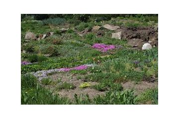 Столичний ботанічний сад здобув нове обличчя Столичний ботанічний сад здобув нове обличчя