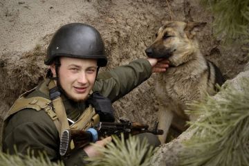 Під час бою в окоп до нацгвардійців заховався пес та залишився з бійцями. Історія порятунку Фауста Під час бою в окоп до нацгвардійців заховався пес та залишився з бійцями. Історія порятунку Фауста