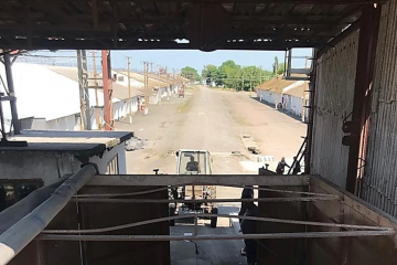 Директор базы Госрезерва пытался украсть зерна на 12 миллионов гривен Директор базы Госрезерва пытался украсть зерна на 12 миллионов гривен