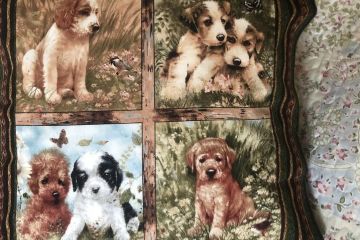 Інформаційне агентство : ВИСТАВКА «ТВАРИНИ В ПЕЧВОРКУ» Інформаційне агентство : ВИСТАВКА «ТВАРИНИ В ПЕЧВОРКУ»