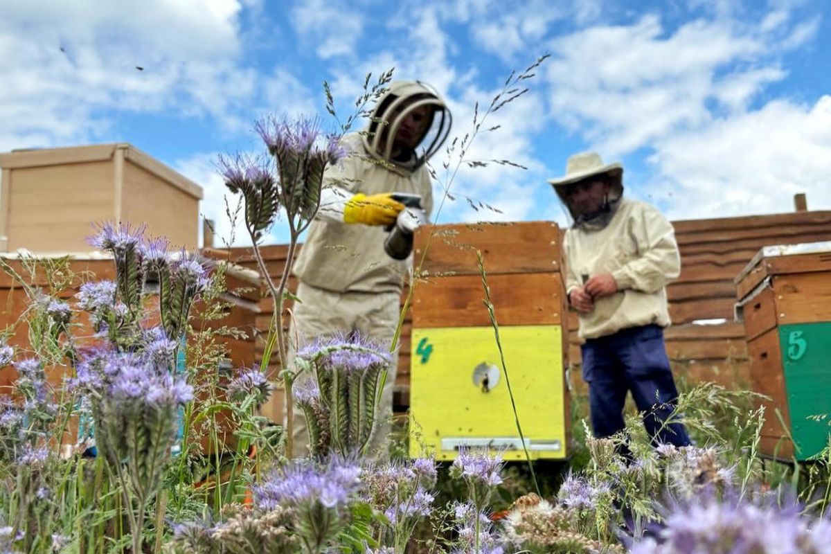 Бджолярський рай. Україна Бджолярський рай. Україна