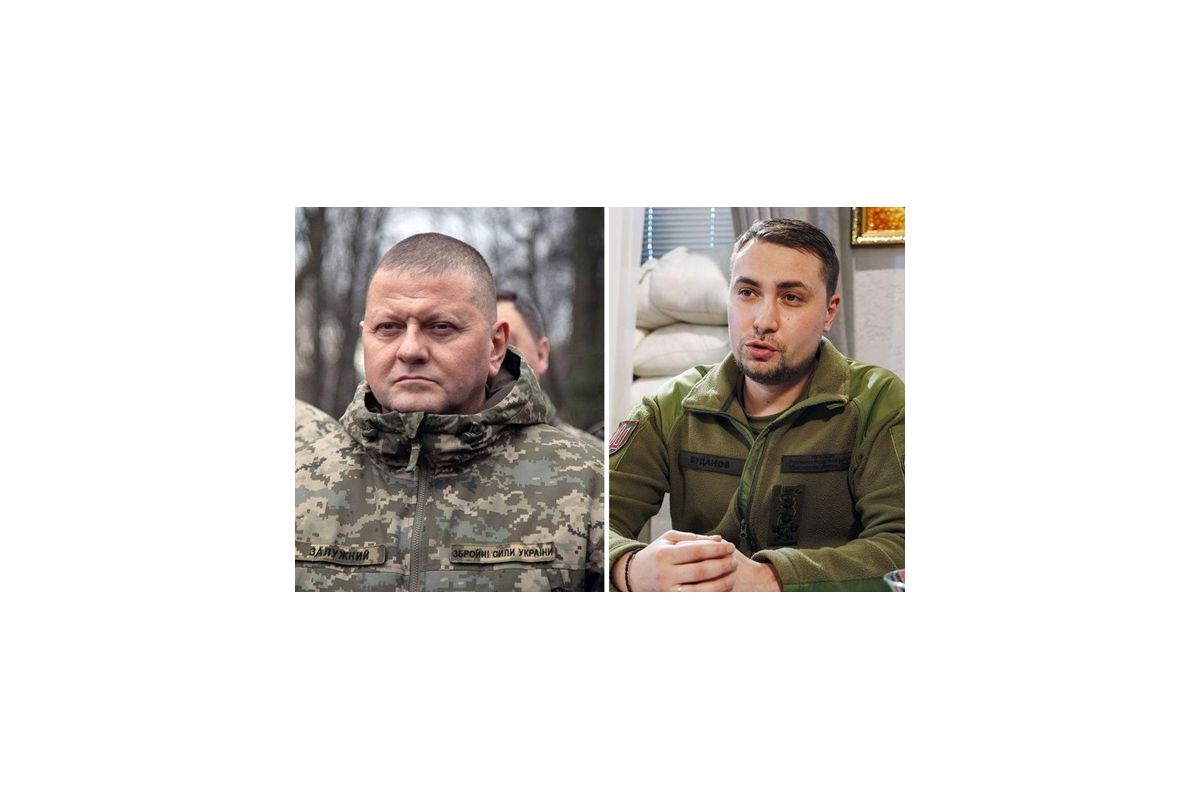 Лідери довіри громадян – Залужний та Буданов Лідери довіри громадян – Залужний та Буданов